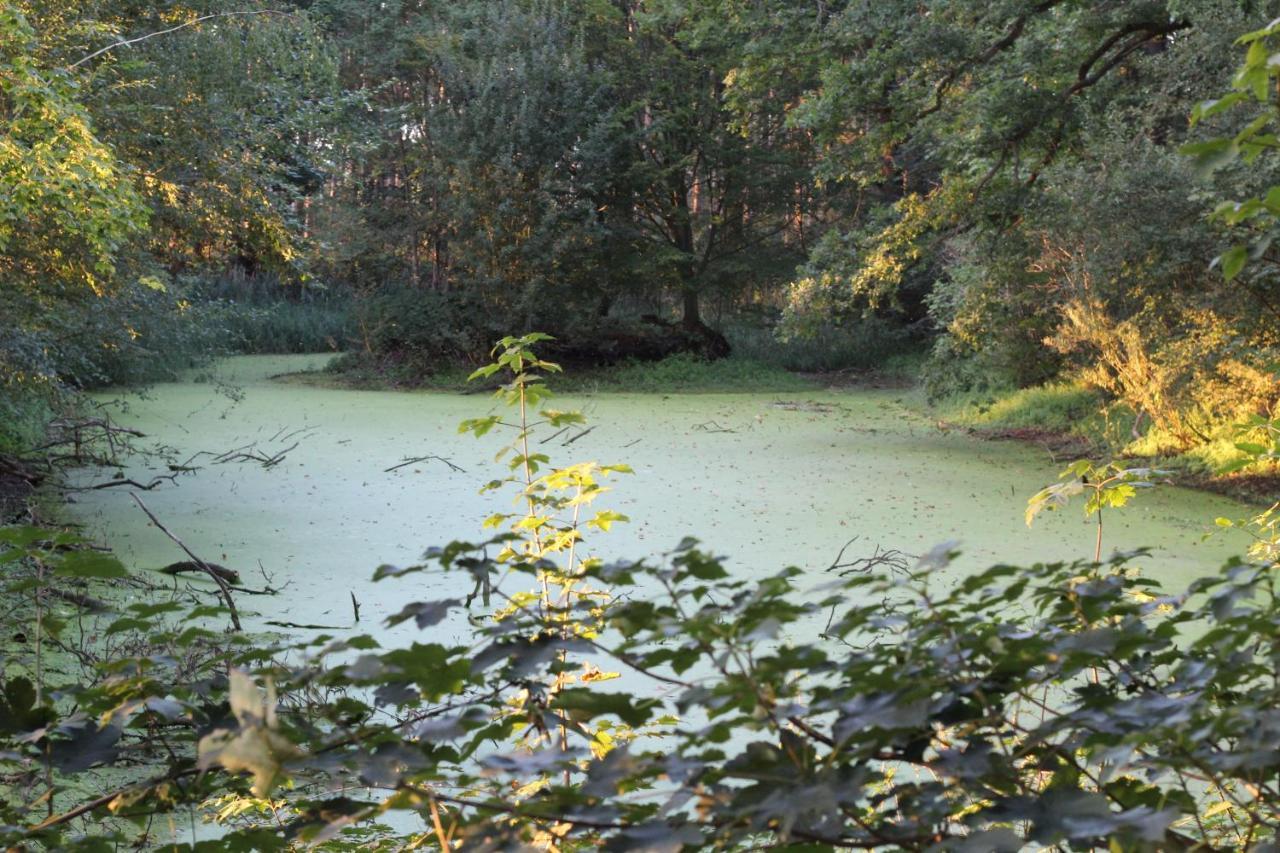 Ferienhaus Auf Gut Sautmannshausen Haselünne Екстериор снимка